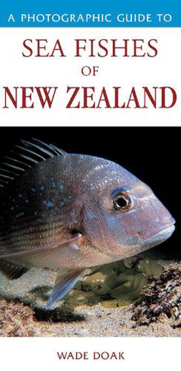 A Photographic Guide to Sea Fishes of New Zealand - Wade Doak