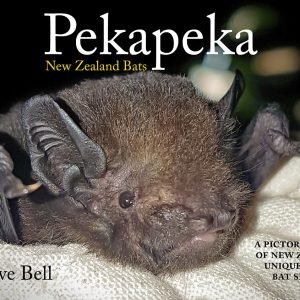 Pekapeka- New Zealand Bats