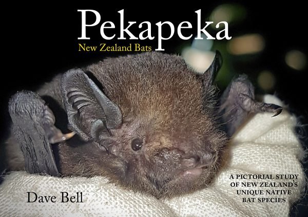 Pekapeka- New Zealand Bats