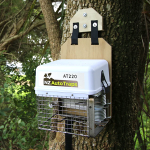 Predator Free