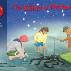 Te Kāhui o Matariki (The Matariki Star Cluster)