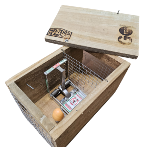 Wooden Doc 200