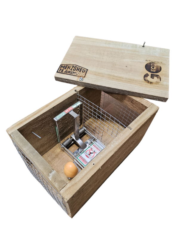 Wooden Doc 200