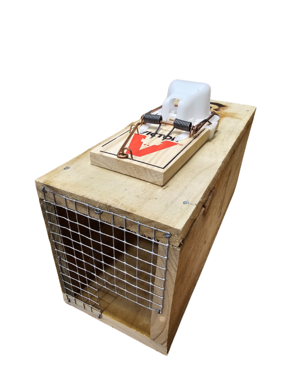 Stoat Trap and Tunnel Combo