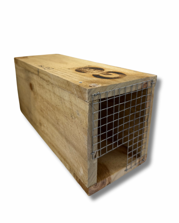 Trap Tunnel Box